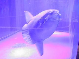 c0013217_1565522.jpg