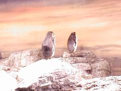 c0013217_1571132.jpg
