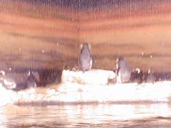 c0013217_157445.jpg