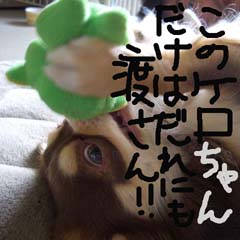 c0036617_913369.jpg