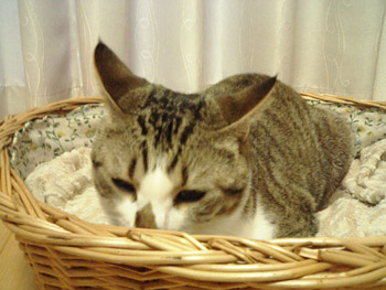 f0032418_9553411.jpg
