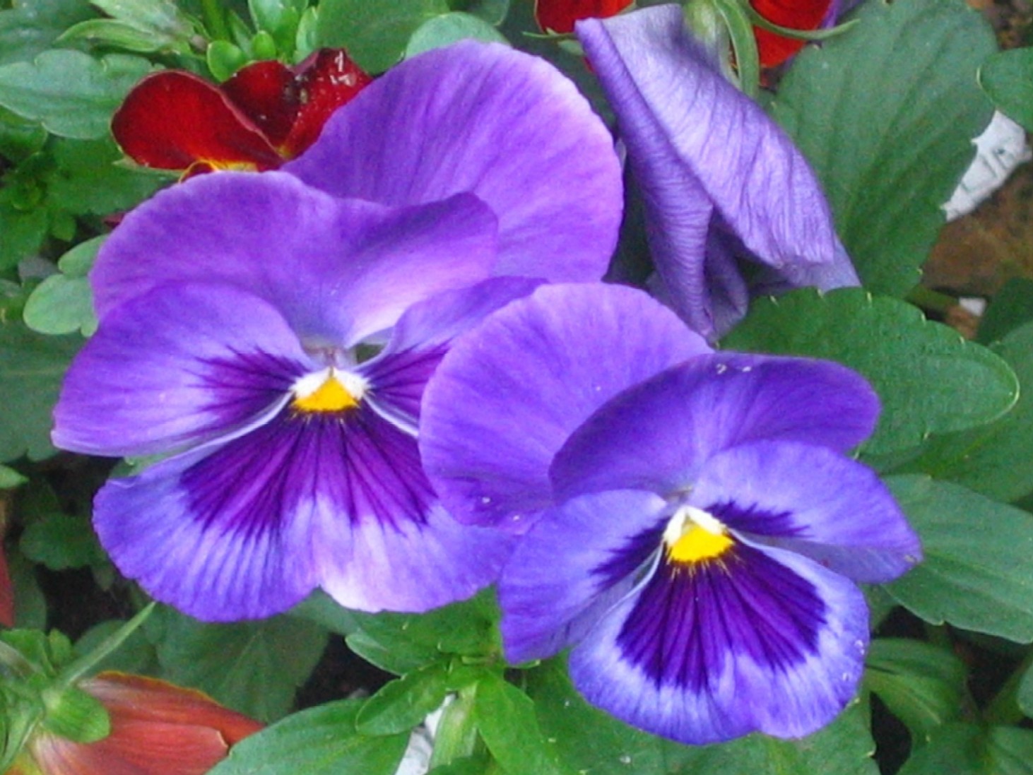 d0044222_10275634.jpg