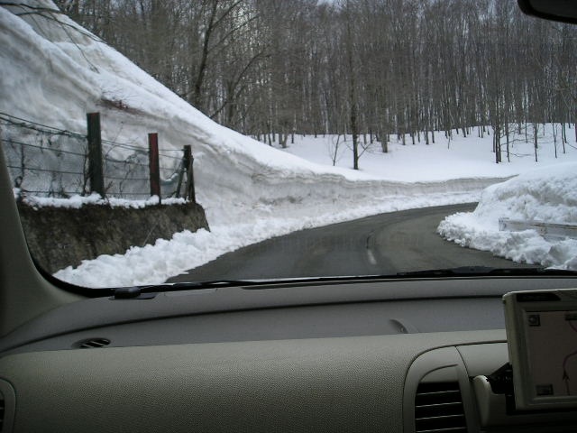 e0023422_054388.jpg