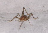 f0080631_9182072.jpg
