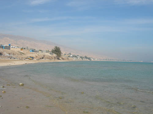 b0006449_123284.jpg