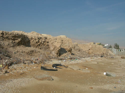 b0006449_12335098.jpg