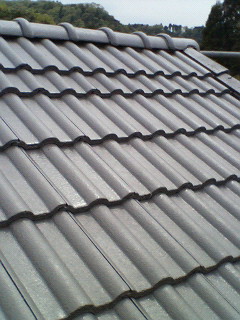 b0071653_19444340.jpg