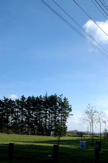 f0089353_22585624.jpg