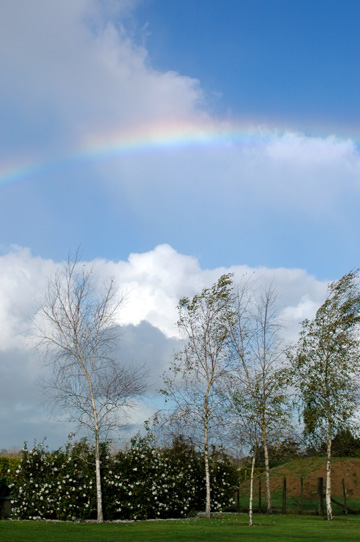 f0089353_2301196.jpg