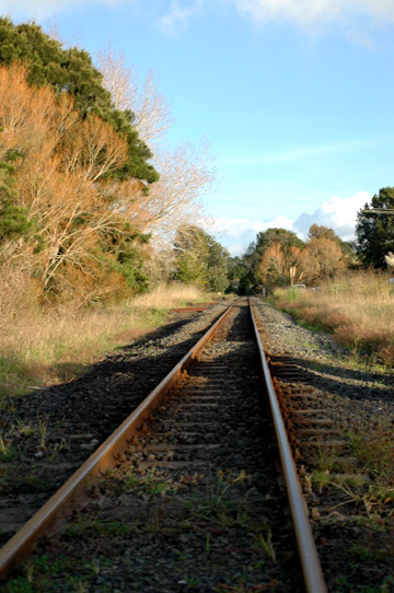 f0089353_23148.jpg