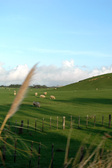 f0089353_232563.jpg