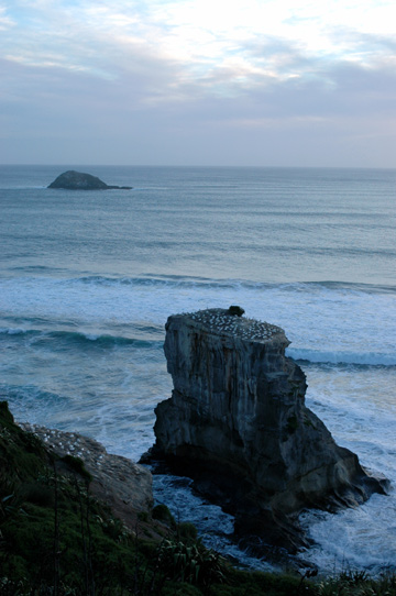 f0089353_2333385.jpg