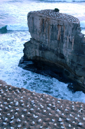 f0089353_2335076.jpg
