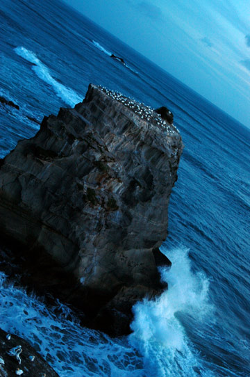 f0089353_234754.jpg