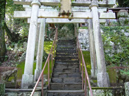 f0067354_221820.jpg