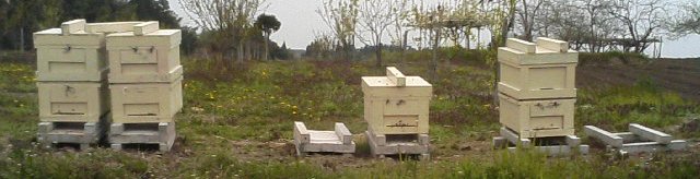 e0082956_18471896.jpg
