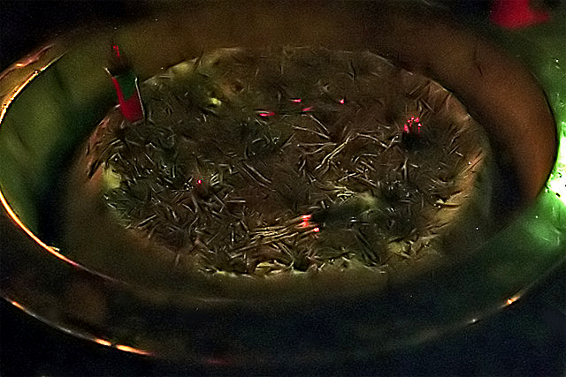 e0002371_1324270.jpg