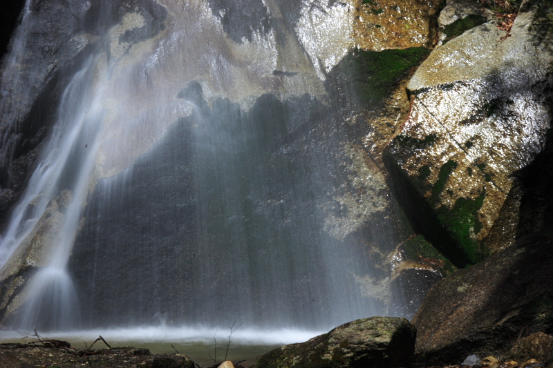 c0030874_751012.jpg