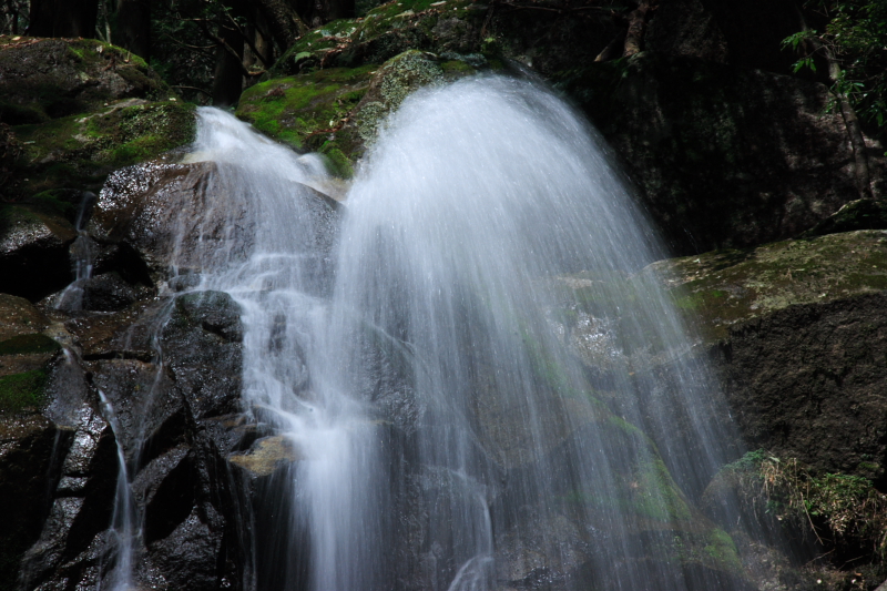 c0030874_754563.jpg
