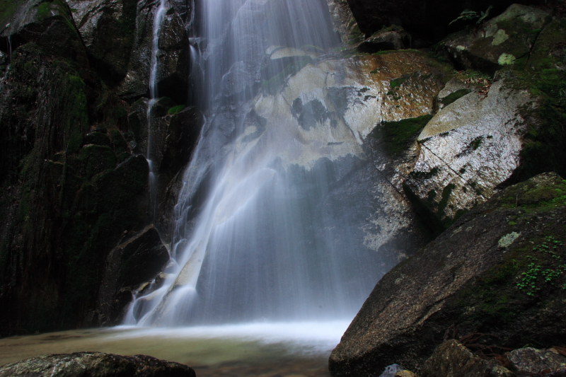 c0030874_765618.jpg