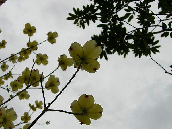 b0010882_1274930.jpg