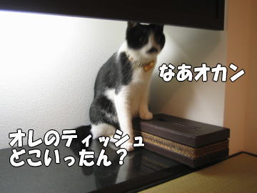 b0041182_23224625.jpg