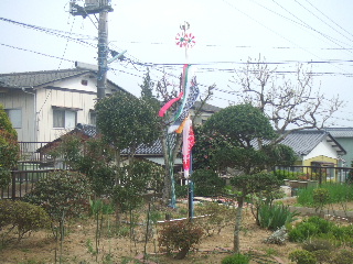 e0032488_1520357.jpg
