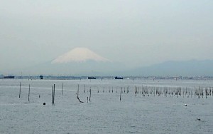 c0000093_0364221.jpg