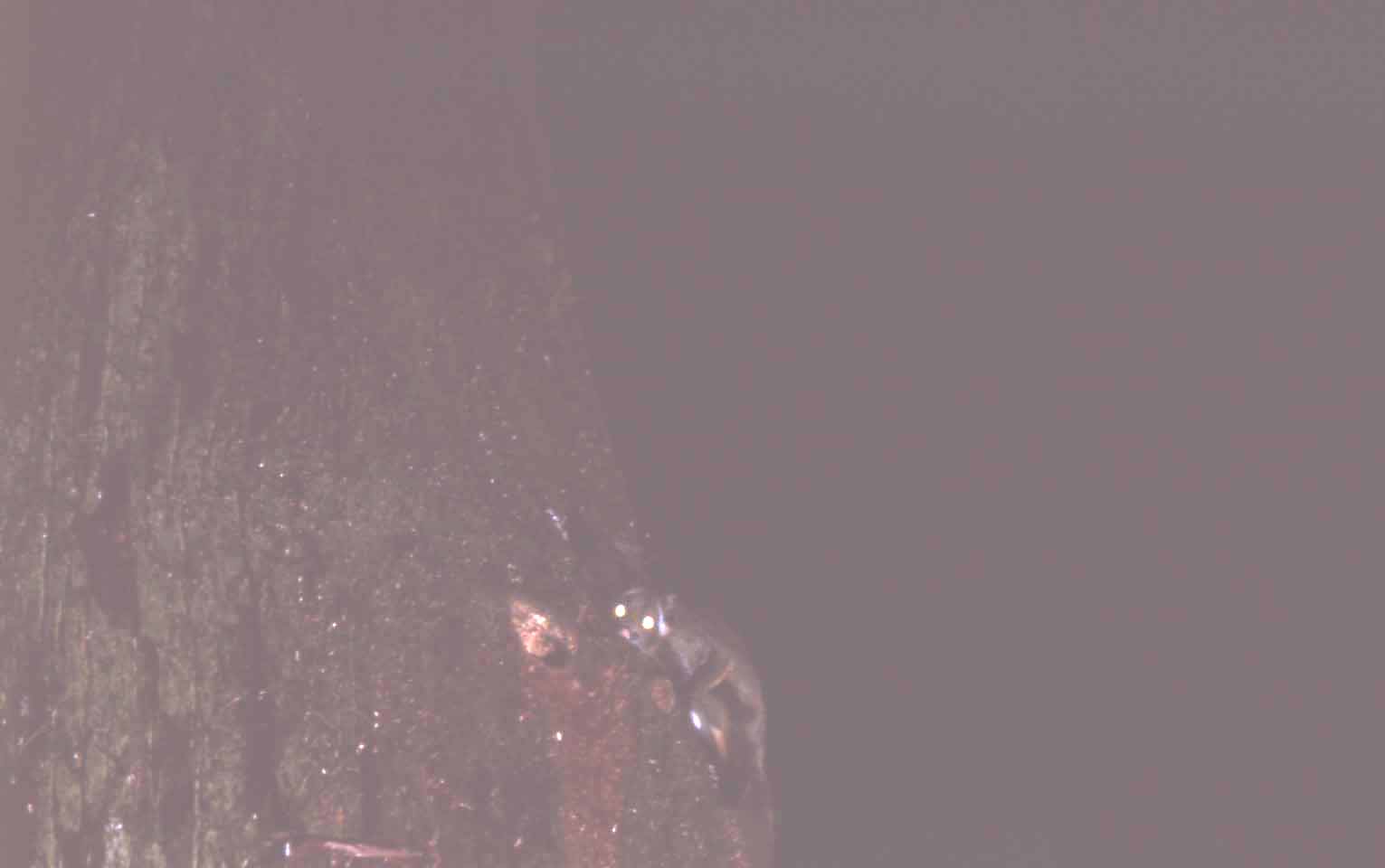 f0047593_1140619.jpg