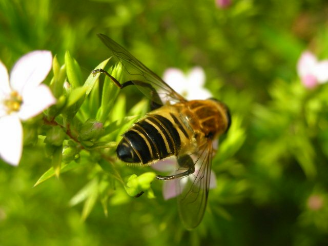 f0083400_16442571.jpg
