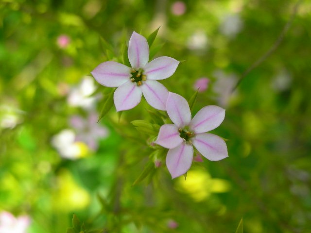 f0083400_16503952.jpg