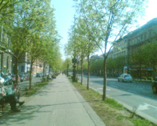 f0021504_0471783.jpg