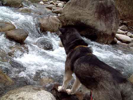 e0001110_5563150.jpg