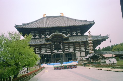d0007913_11492029.jpg