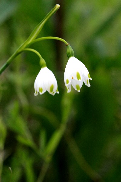 f0031423_21562936.jpg