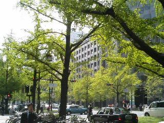 d0044825_153989.jpg