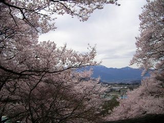 e0008829_1427562.jpg