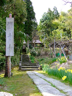 e0006242_15433.jpg