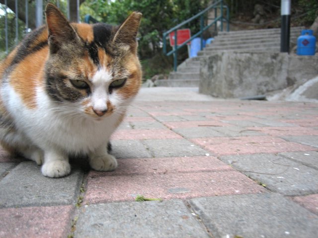 e0018143_2133983.jpg