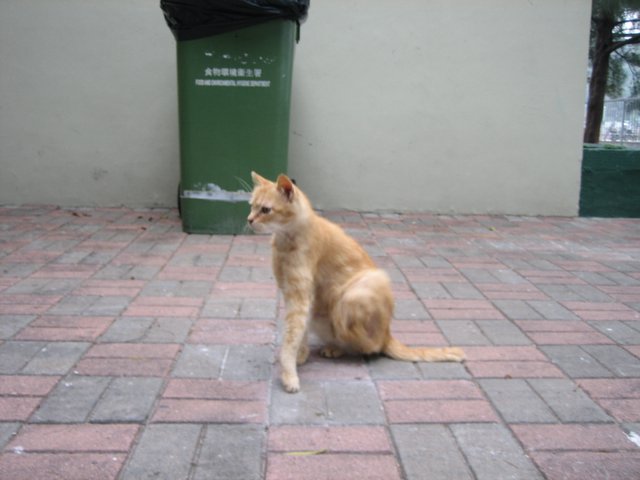e0018143_2142352.jpg