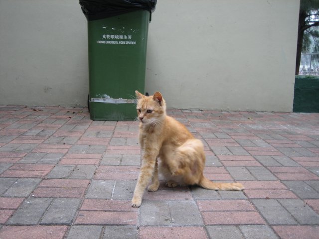e0018143_2143513.jpg