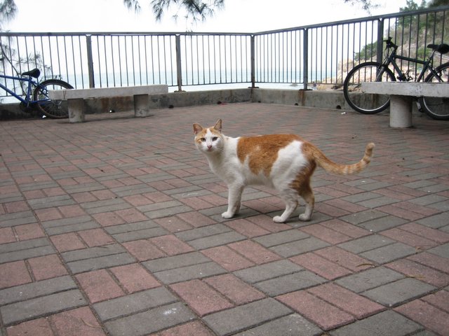 e0018143_215471.jpg