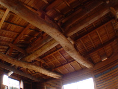 e0069646_2114961.jpg