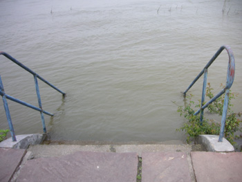 b0040048_34835.jpg