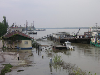 b0040048_352173.jpg