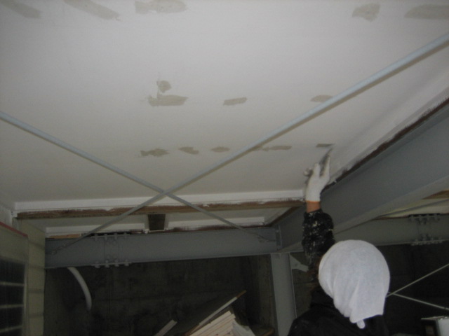 b0071653_20391560.jpg
