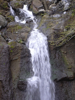 a0001354_18453940.jpg