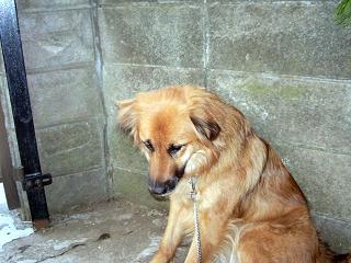 f0034156_2137367.jpg