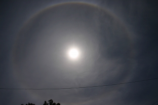 b0086362_1714994.jpg