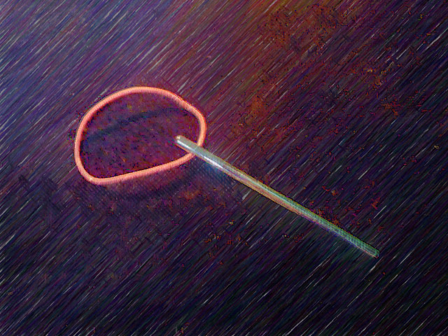 f0071362_232337100.jpg